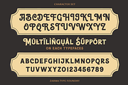 Anerome - Vintage Display Font, a Serif Font by Zarma Type (Thumbnail 6 of 12)