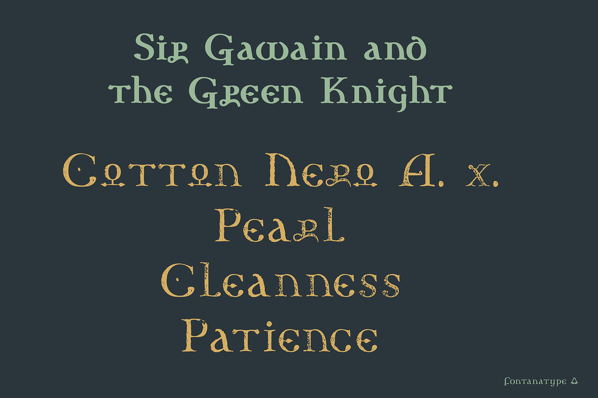 Nexodus, a Serif Font by Fontanatype (Photo 9 of 11)