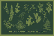 Pacific Northwest Illustrations, an Illustration by Instinct Design Co (Thumbnail 2 of 3)