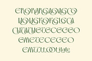 Rosetic - Luxury Wedding Font, a Serif Font by kangfont Studio (Thumbnail 8 of 10)