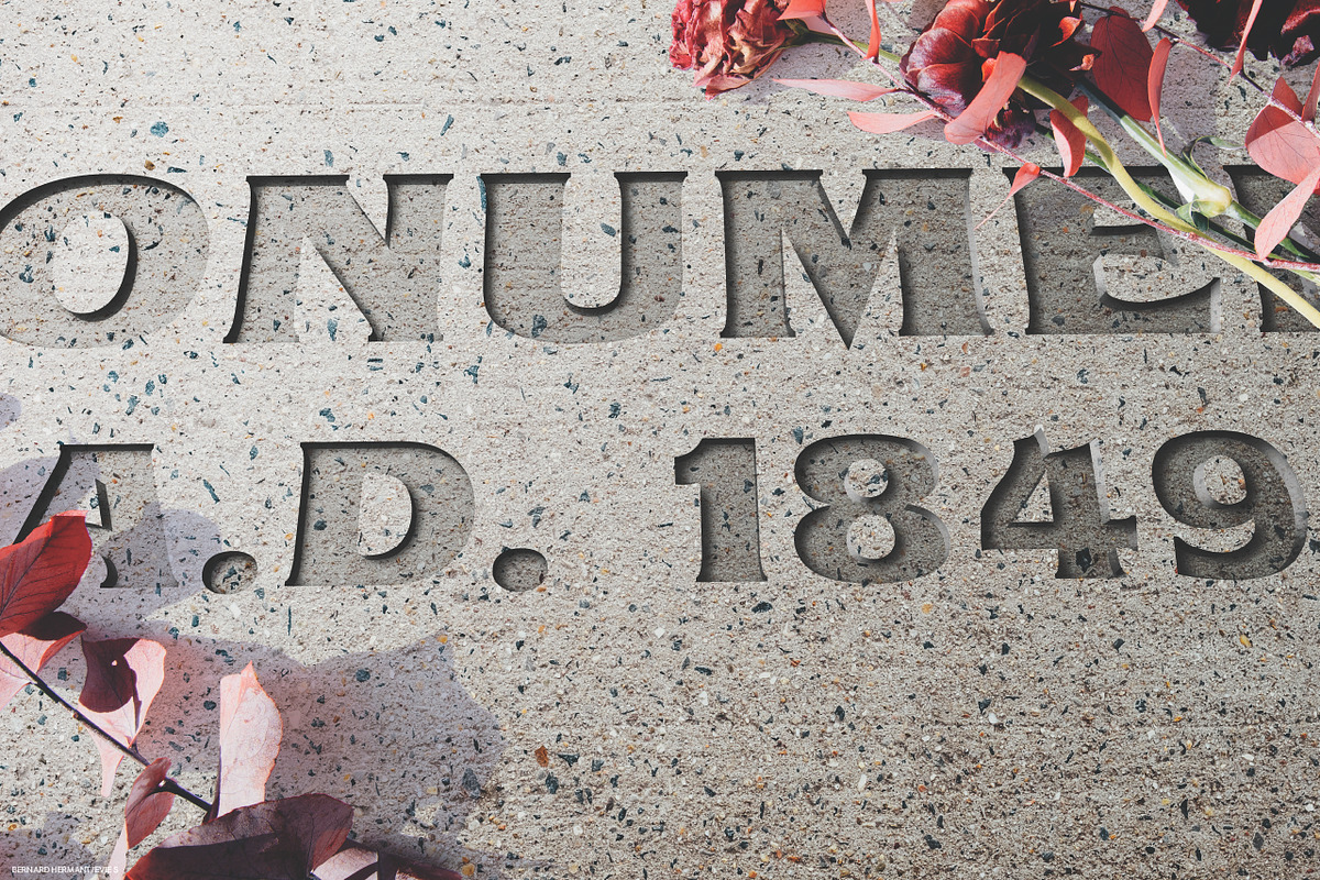 Bachman | Dark Display Type!, a Serif Font by StudioWorks (Photo 6 of 8)