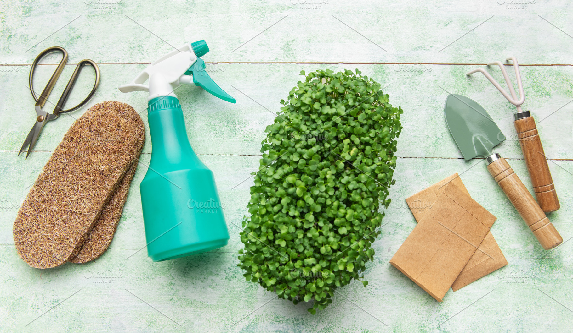 Microgreens growing kit with gardening tools, a Photo by Olena Rudo