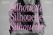 Sinclair Pro Obsession | 12 Font, a Serif Font by Natural Ink Studio (Thumbnail 12 of 17)