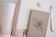 Silk moth metamorphosis, an Animal Illustration by handsketched (Thumbnail 8 of 8)