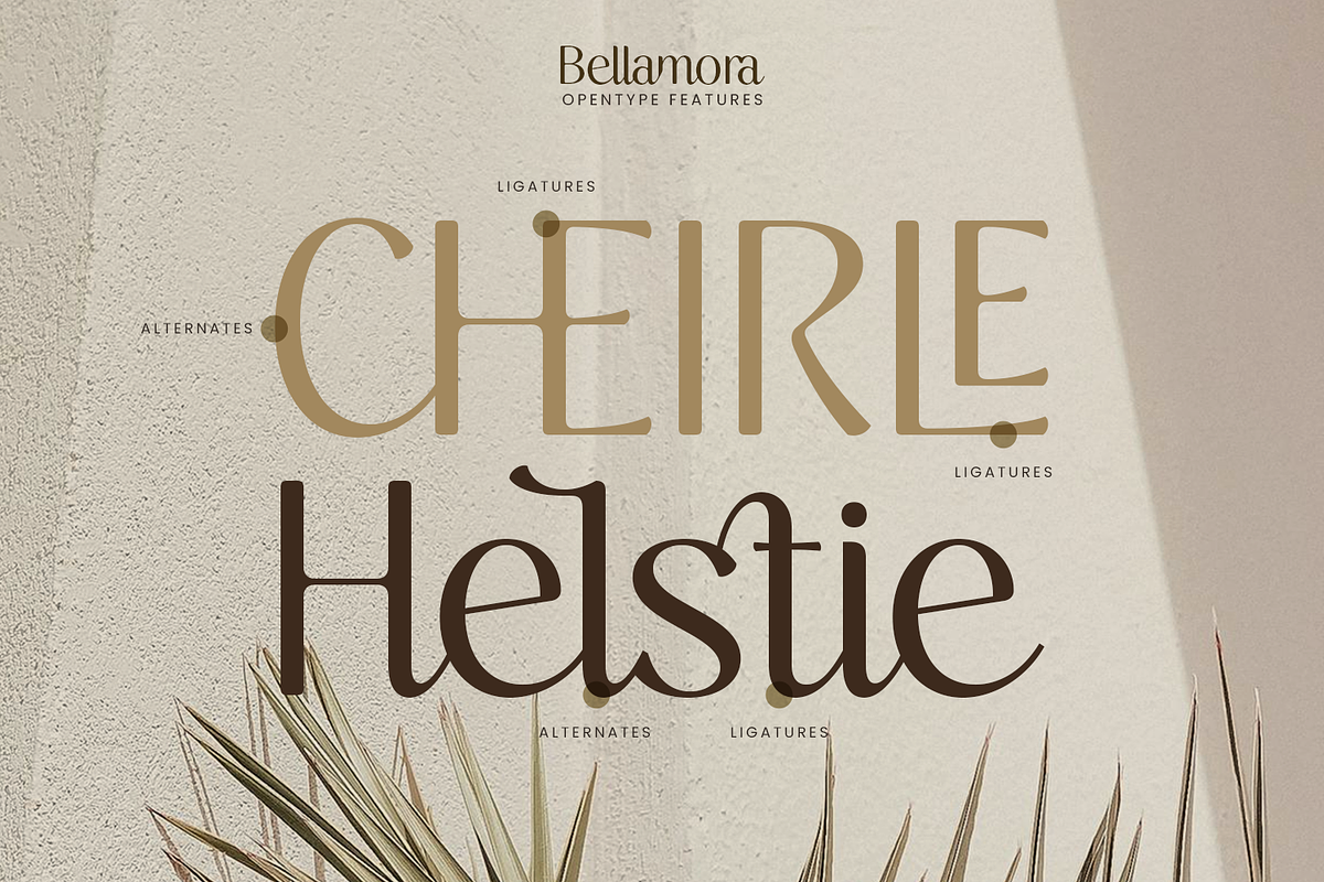 Bellamora - Aesthetic Script Font, a Script Font by Dikas Studio (Photo 7 of 10)