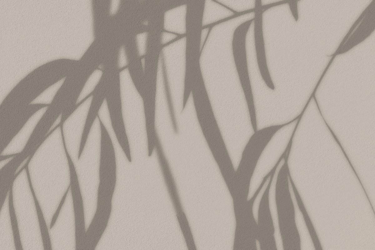 60 Shadow Overlay Pack | PSD + PNG, a Product Mockup by GRPXSTORE (Photo 5 of 17)