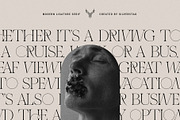 THE FRENCH KISS ROYAL TYPEFACE, a Serif Font by SilverStag Type Foundry (Thumbnail 16 of 23)