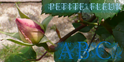 PetiteFleur, a Font by Wiescher-Design (Thumbnail 1 of 2)