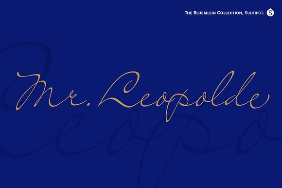 Mr Leopolde Pro preview 7