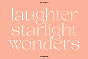 TAN - CLEMENTINE, a Serif Font by TanType (Thumbnail 8 of 20)
