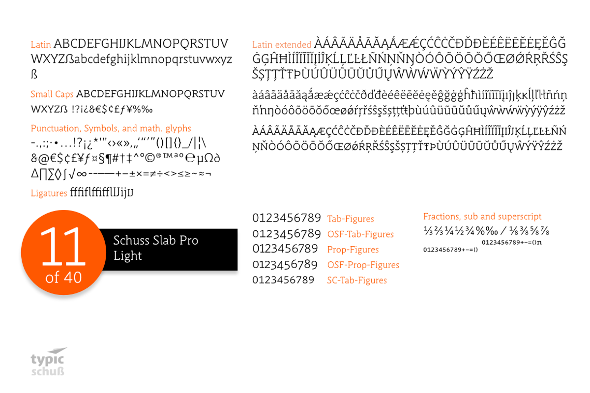 SchussSlabProLight No.11 (1 Font) preview 3