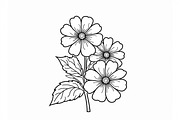 Flower Outline Art Printable Pack, an Illustration by BIPLOB EXPERT (Thumbnail 4 of 9)