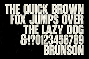 Brunson Font, a Font by The Branded Quotes (Thumbnail 6 of 8)
