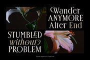 Deloca Moreys Typeface, a Serif Font by alit design (Thumbnail 5 of 20)