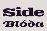 DT Augustina Slab 7 Subfamily, a Slab Serif Font by Deveze Type Foundry (Thumbnail 13 of 31)