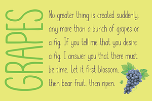 Lemon Grapes Font