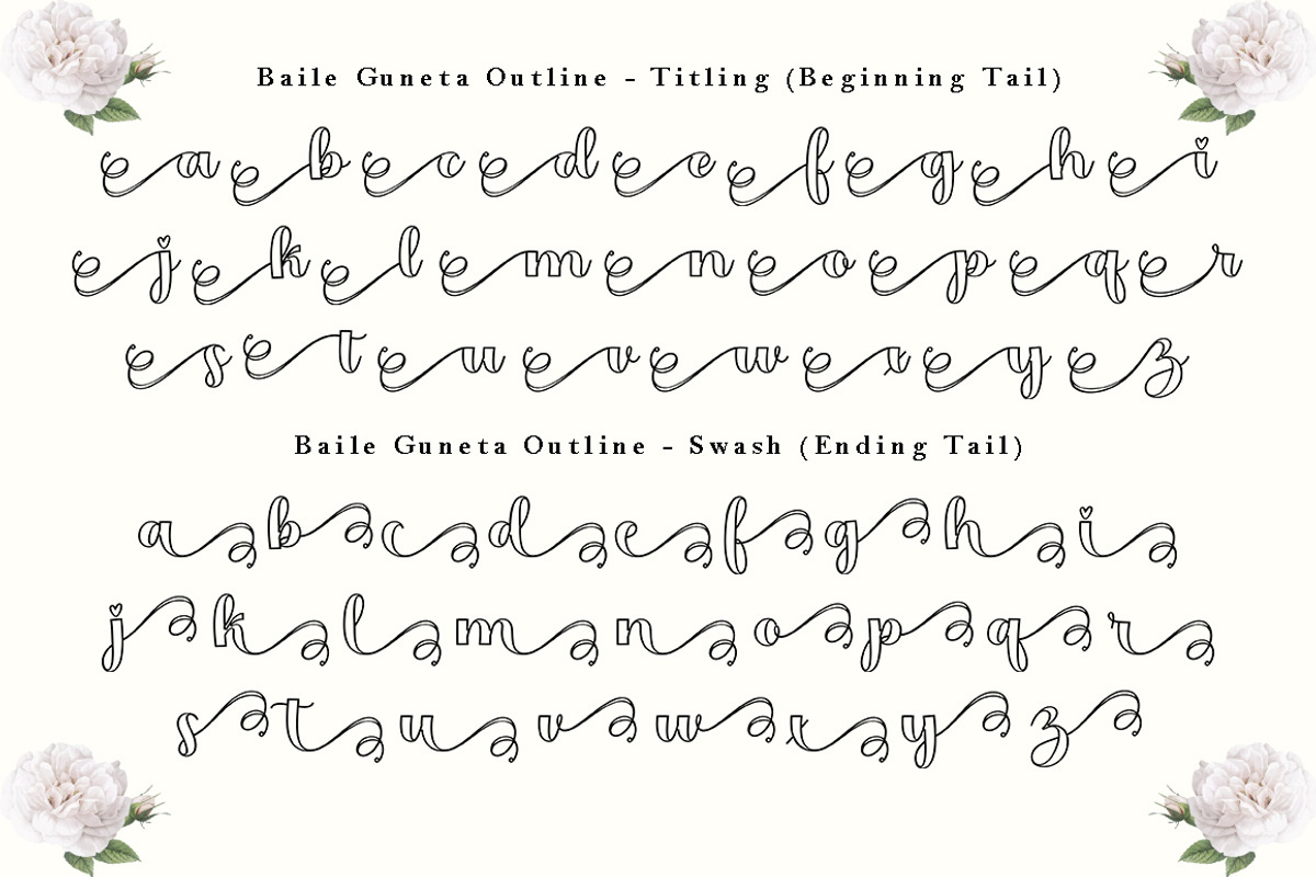 Baile Guneta, a Script Font by TM Type (Photo 9 of 10)