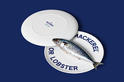 SFC Mackerel (Refined) - Font Duo, a Serif Font by Skilline Supply Co. (Thumbnail 5 of 22)