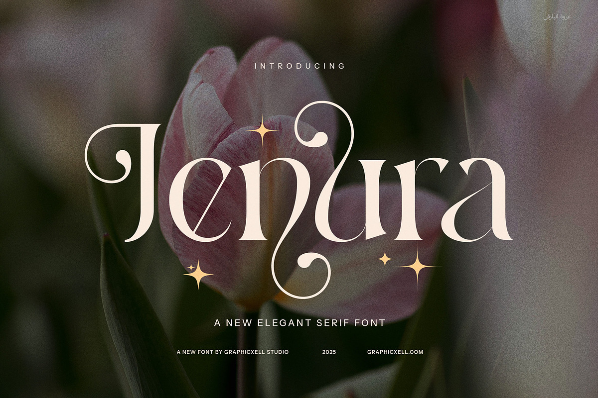 Jenura Stylish Serif Font, a Serif Font by Graphicxell (Photo 1 of 8)