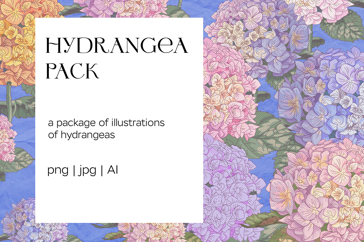 Hydrangea illustration pack, a Decorative Illustration by Schumacher Shop (Photo 1 of 6)