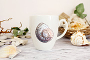 Seashells patterns collection, a Pattern Graphic by Sam2211 (Thumbnail 10 of 13)