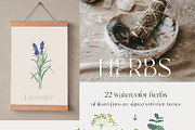 Modern Magic Herbs & Crystals, a Healthcare Illustration by Catch the Dream Art (Thumbnail 2 of 8)