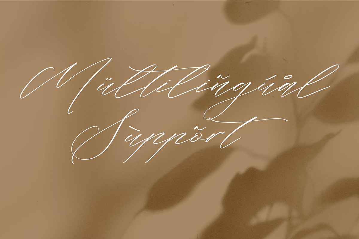 Flumtips Noulevia – Chic Calligraphy, a Script Font by Storytype Studio (Photo 11 of 15)