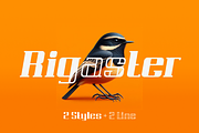 Rigaster Font, a Serif Font by IWMType (Thumbnail 1 of 6)
