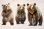 Wild Bears Sublimation - 6 PNGs, an Animal Illustration by Leakedink (Thumbnail 2 of 2)