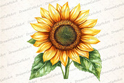 Yellow Sunflower Watercolor Flowers, an Illustration by DreamCafeArt (Thumbnail 5 of 6)