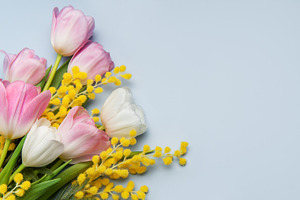 Pink and white tulips and mimosa flowers forming a bouquet on bl, a Holiday Photo by Olena Rudo