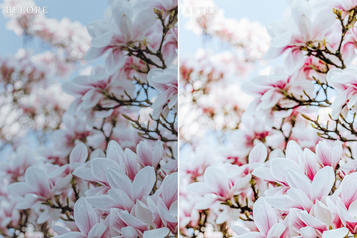 Floral Lightroom Presets, a Layer Style Add-On by Rapita Photography© (Photo 6 of 11)