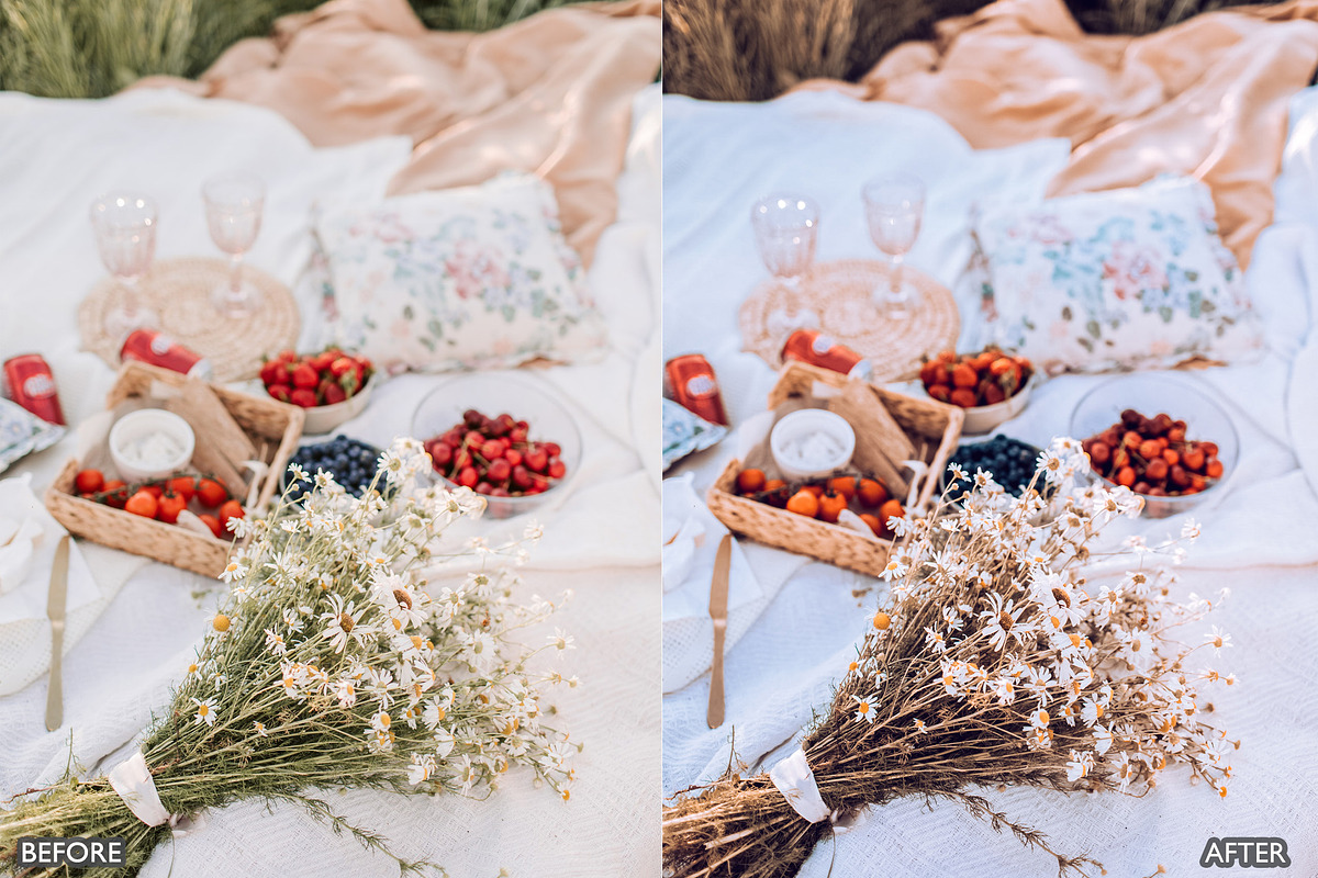 Picnic Outdoor Lightroom Presets, a Preset Add-On by AAA Presets (Photo 12 of 17)