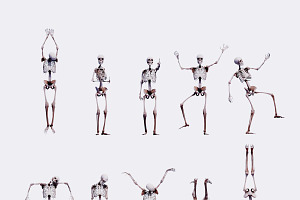 Low Poly Human Skeleton 40 Poses