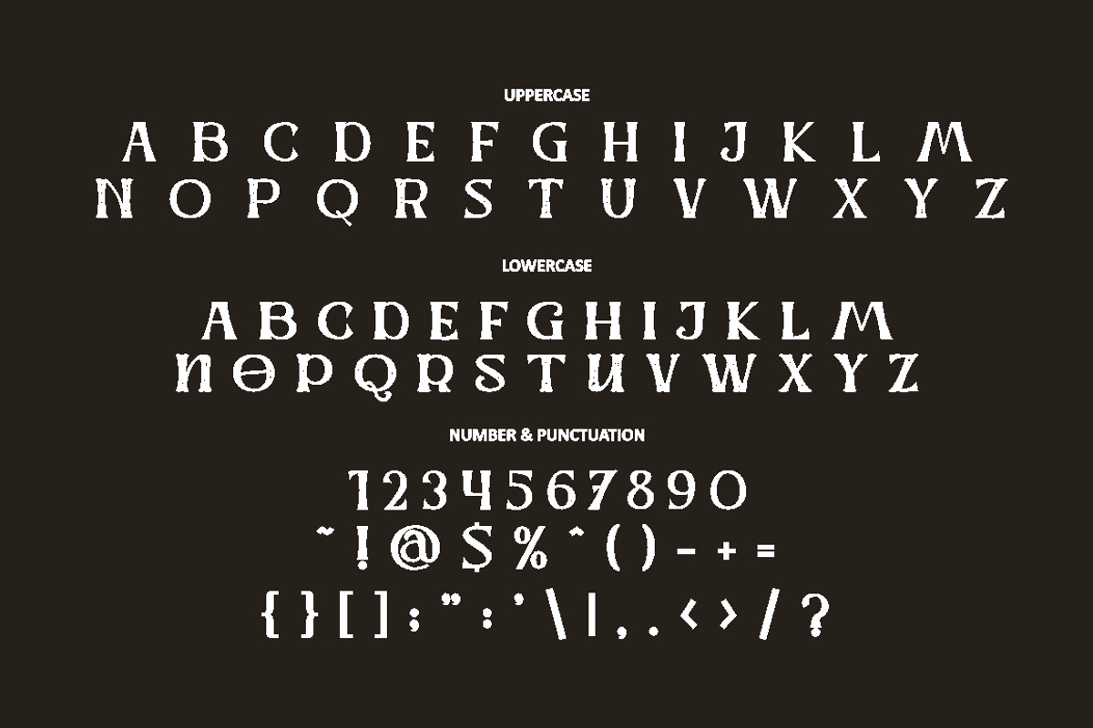 Werd - Modern Stylish Serif Font, a Serif Font by PutraCetol Studio (Photo 12 of 13)