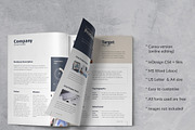 Business Plan Template, a Brochure Template by Sabin (Thumbnail 2 of 9)