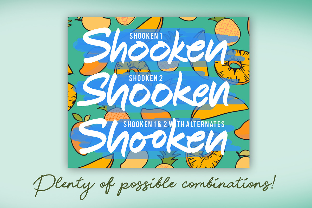 Shooken Fonts + Extras & Swashes preview 8