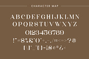 Shole - Display Serif Font, a Serif Font by Aqeel_Art (Thumbnail 11 of 12)