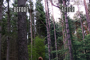 Lightroom Presets: Landscape, an Action Add-On by Giel Sweertvaegher (Thumbnail 2 of 12)