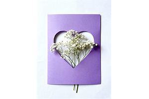 Purple card with heart-shaped cutout, a Holiday Photo by tilialucida