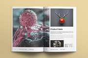 Work Portfolio Template, a Magazine Template by E-Type (Thumbnail 2 of 8)