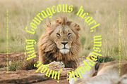 Midnights Kings Blackletter Serif, a Blackletter Font by timelesstype.co (Thumbnail 13 of 20)