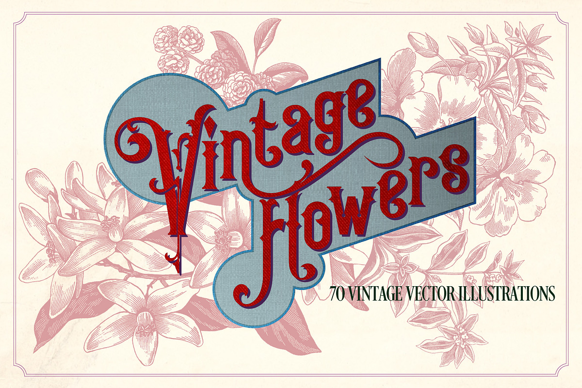 Vintage Flower Illustrations, a Decorative Illustration by Mr Vintage (Photo 1 of 13)