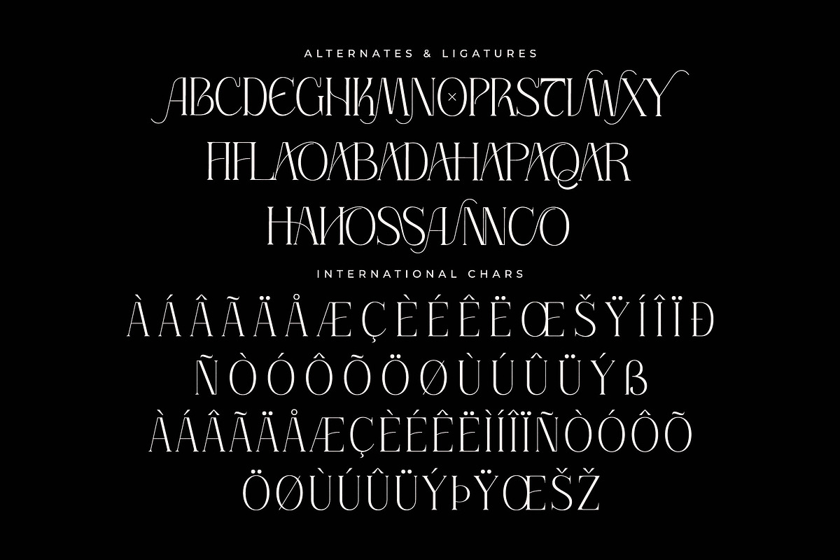 Thorco New Display Serif Font, a Serif Font by Storytype Studio (Photo 13 of 15)