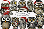 Christmas Owl Clipart, an Illustration by Designworld (Thumbnail 1 of 4)