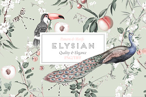 ELYSIAN, Quality Prints & More!