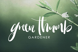 Warrenson Script Font