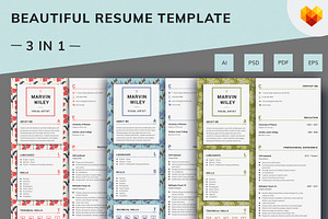 Visual Artist Resume Template