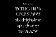 Safyoge - Modern Stylish Font, a Sans Serif Font by Iqsiart Studio (Thumbnail 11 of 12)
