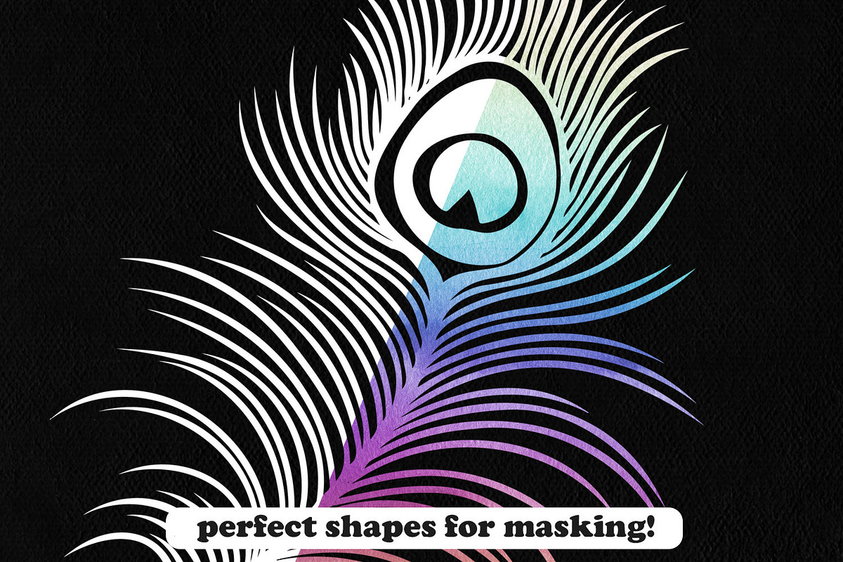 Feather Photoshop Stamp Brushes, a Brush Add-On by ArtistMef (Photo 4 of 4)